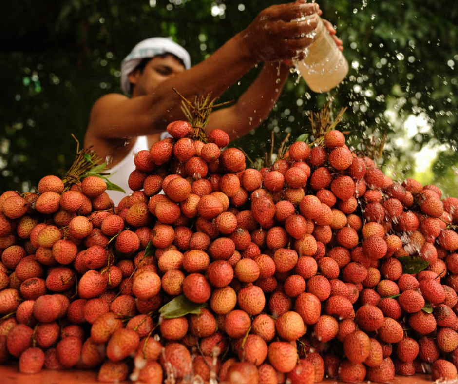 Muzaffarpur Litchi- Proudly Made in India