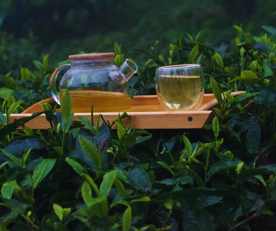 Darjeeling Tea- Proudly Made in India