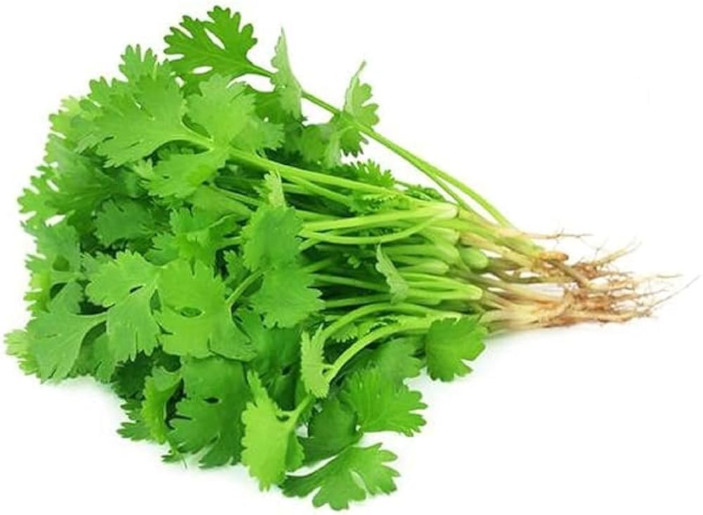 Kasti Coriander- Proudly Made in India