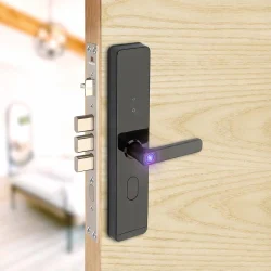 Digital & Smart Locks